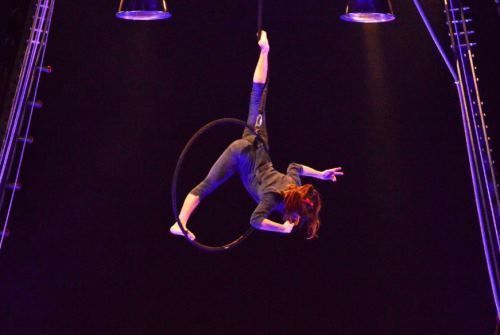 ‘En la cuerda floja’ dirige su mirada al circo nacional