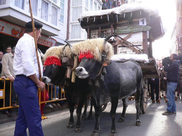 Varios miles de campurrianos y visitantes celebraron el Día de Campoo