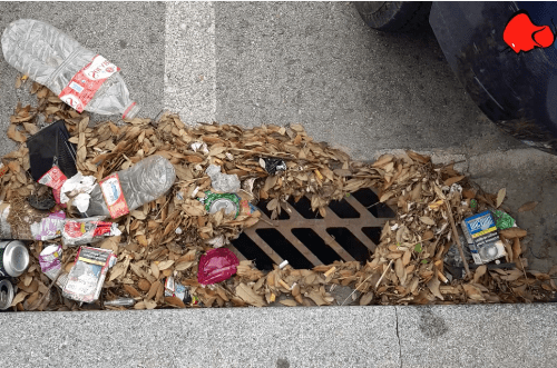 Los barrios de Santander están sucios porque no se controla la limpieza