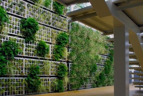 44.000 plantas conforman una gran pared en el Centro Cívico de Castilla Hermida