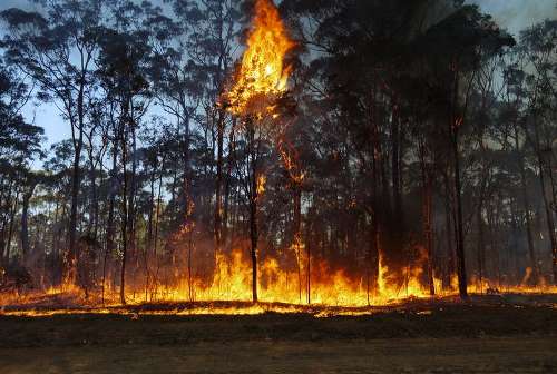 12 incendios procados el domingo en Cantabria