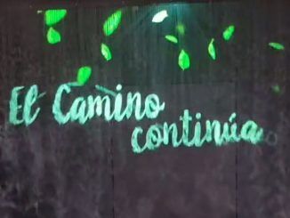 Buruaga presidirá por primera vez el Día de Cantabria en FITUR