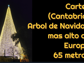 Conoce en este video el árbol de Navidad más alto de Europa (+video)