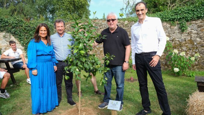 La fiesta fue un éxito pero la solidaridad sigue con los LIMONES SOLIDARIOS de Novales La fiesta fue un éxito pero la solidaridad sigue con los LIMONES SOLIDARIOS de Novales