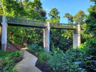 El Bosque Nacional El Yunque de Puerto Rico reabre sus puertas
