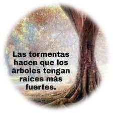 Adversidades….