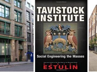 EL INSTITUTO TAVISTOCK