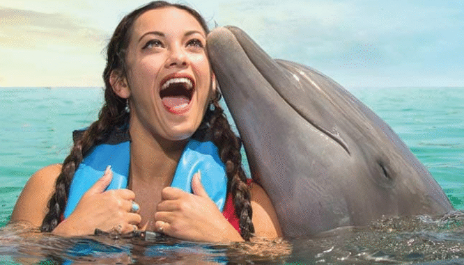 Descubre en un todo incluido en Isla Mujeres que los delfines son el mejor amigo del hombre