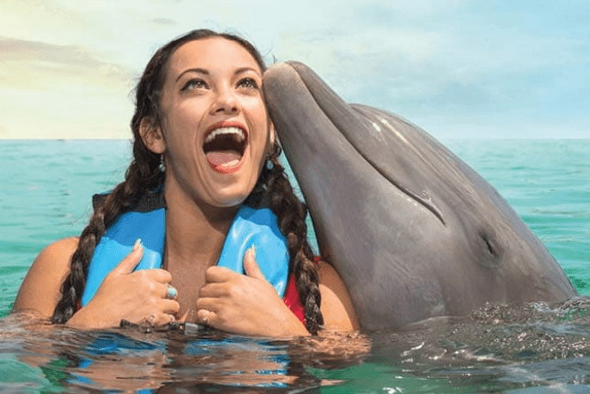 delfines